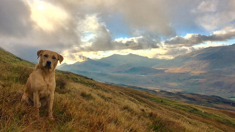 Your Pictures in Wales: 2 - 8 November - BBC News