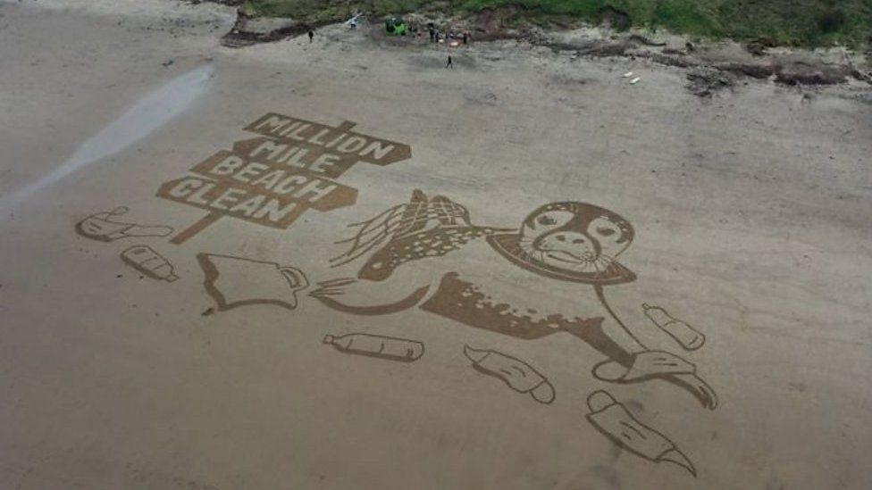 Sand drawing of seal surrounded by litter
