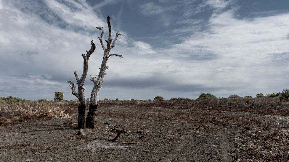 Australia Drought How Much Rain Would End The Big Dry Bbc News 0363