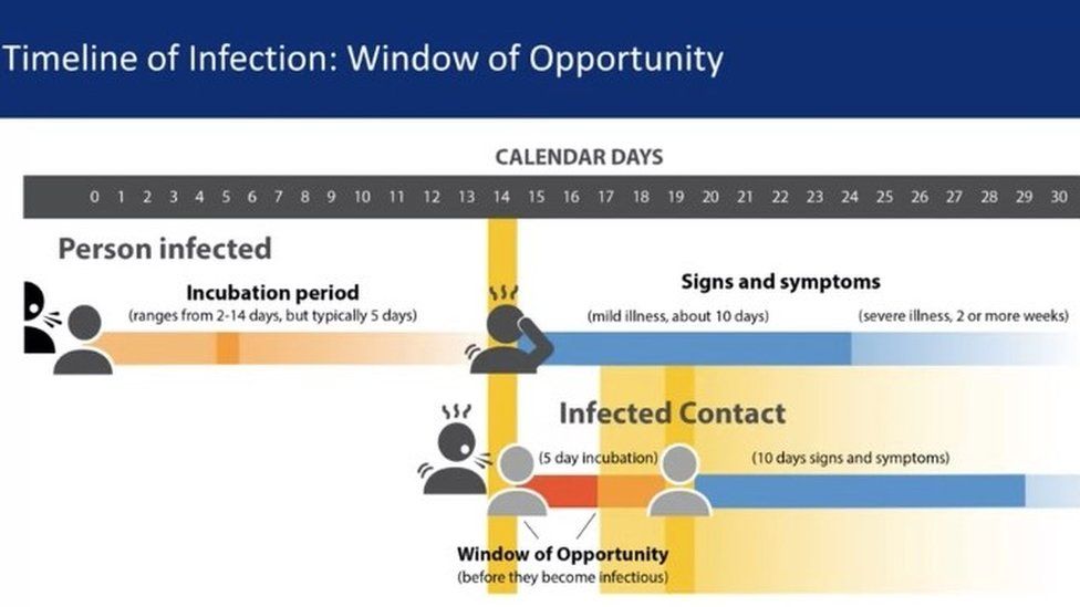 infection timeline