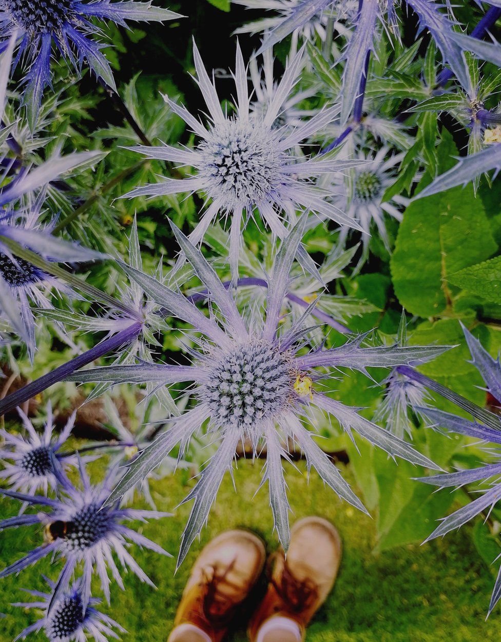 Flowers and feet