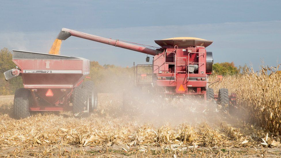 Harvest in Iowa, US