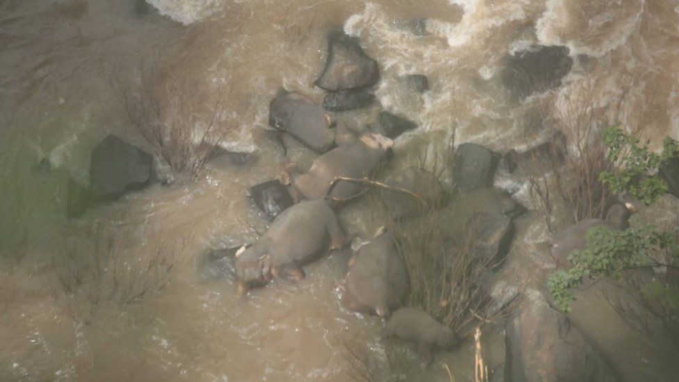 An image of the elephants found at the waterfall