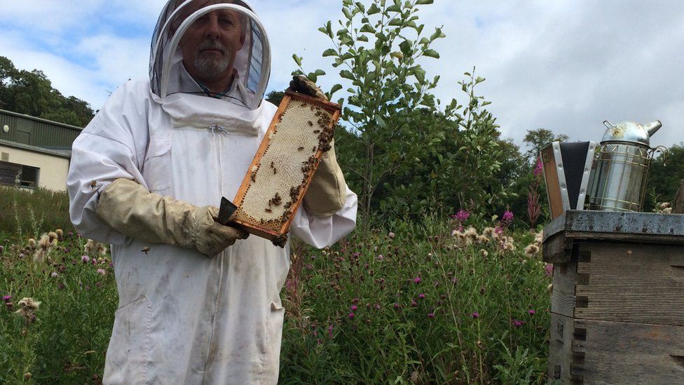 Edinburgh Zoo is a hive of activity for would-be beekeepers - BBC News