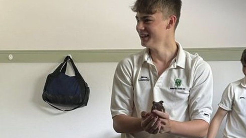 Howzat Holsworthy Cricketers Hamster Stowed Away In Bag Bbc News