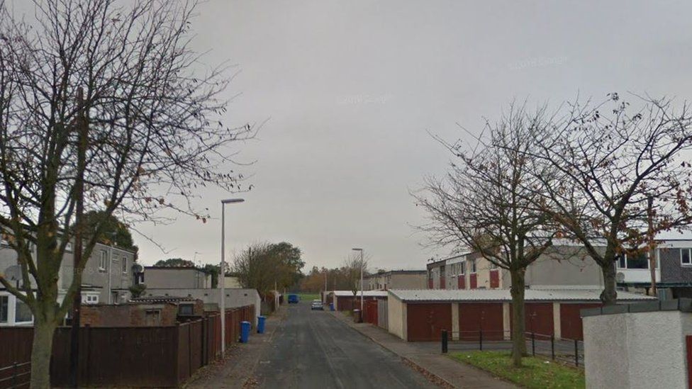 Appeals for information after cat attacks in Ayrshire and Fife BBC News