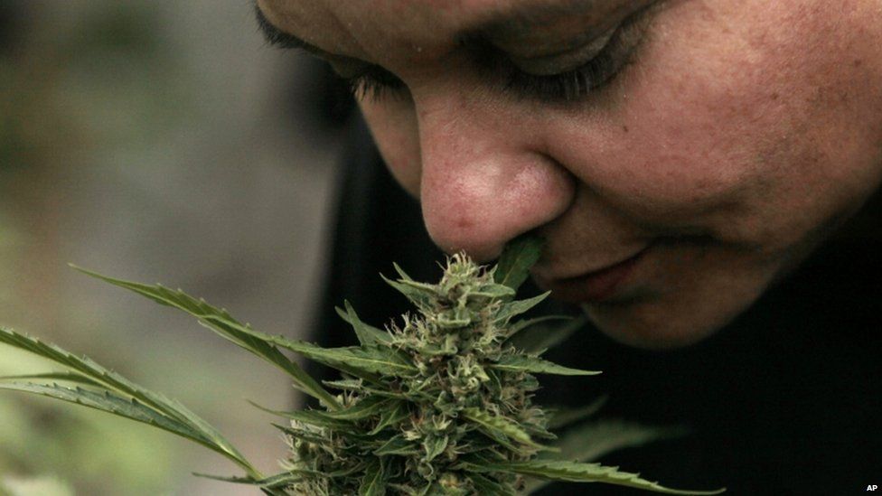 on July 7, 2015 Chile's lower house of Congress approved a bill to allow Chileans to grow small amounts of marijuana for recreational or spiritual use. The measure still must go before a health commission and be approved by the Senate.