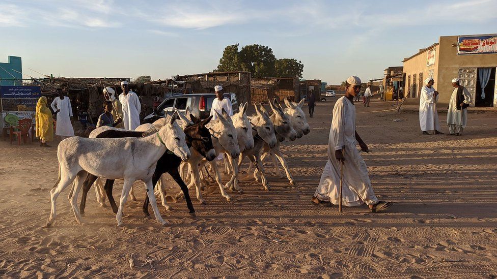 Sudan's Darfur Conflict: Why Abdullah Has Never Seen His 'home' - BBC News