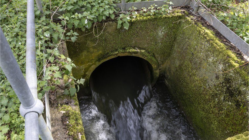 Sewage is discharged into Earlswood brook from the nearby treatment works, run by Thames Water on April 13, 2023