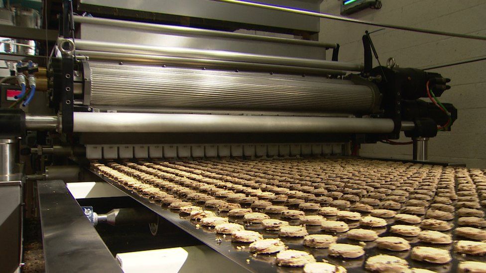 biscuits being made
