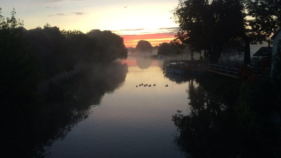 Ducks at dawn in Abingdon