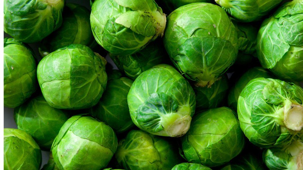 Brussel sprouts close up
