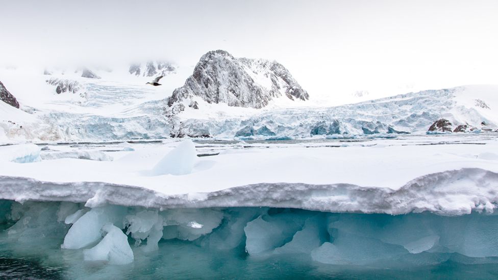 Glacier ice in Arctic Svalbard