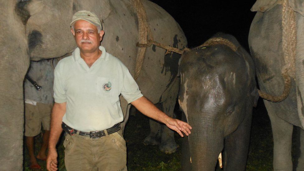Dr Kushal Kunwar Sharma with an elephant