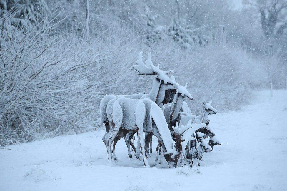 Reindeer sculptures covered in snow