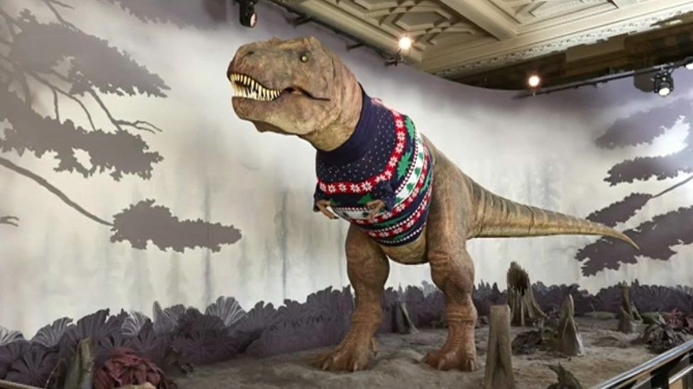 All About London T.rex gets Christmas jumper at Natural History Museum