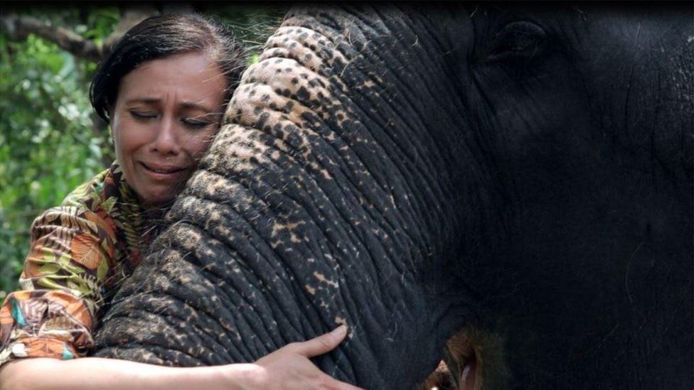 Sangita Iyer hugging the trunk of an elephant