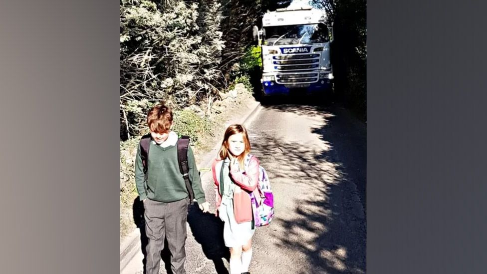 Cheddar walkers say they fear being hurt by HGV drivers