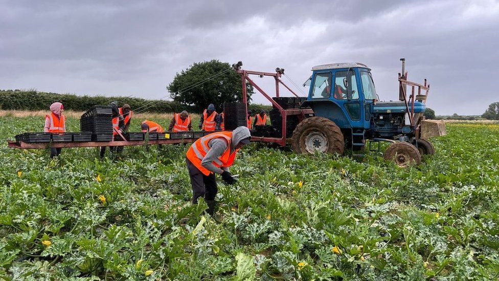 Arbeiter in einem Feld mit Warnwesten, die in der Nähe eines Traktors arbeiten