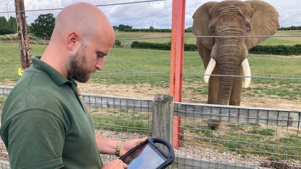 Tom Lindley usando la aplicación con un elefante de fondo en un zoo
