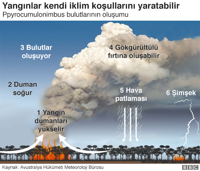 Yangınlar kendi iklim koşullarını yaratabiliyor