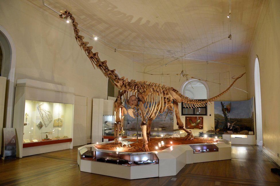 Dinosaur fossil on display inside the National Museum