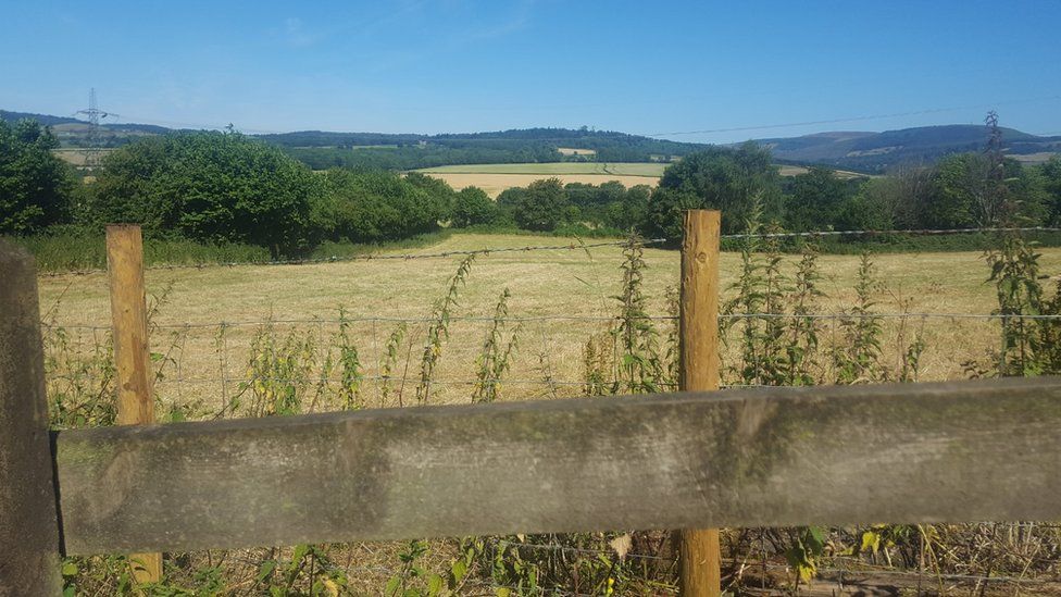 View from Michaelston-y-Fedw