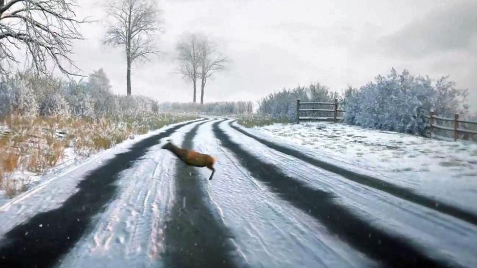 Clip showing deer on road in DVSA theory test