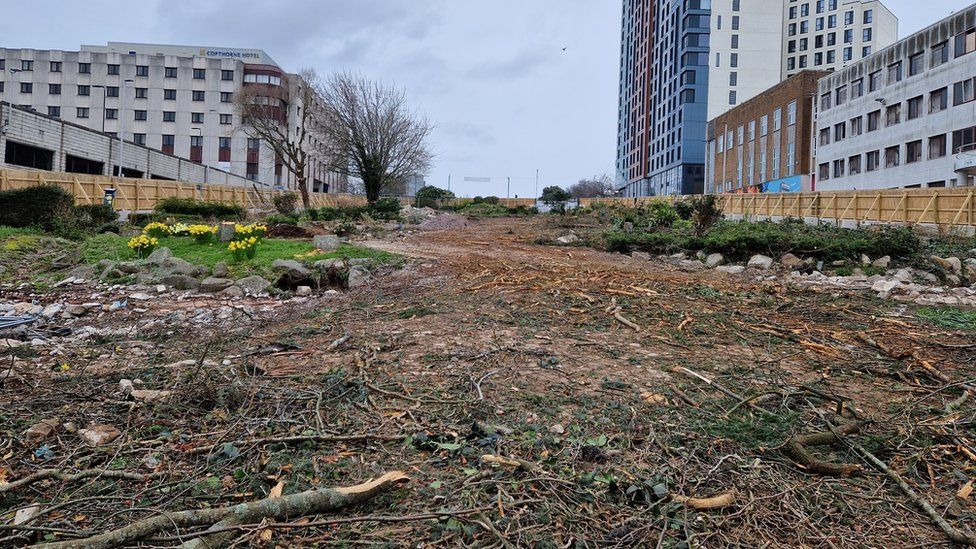 Traders frustrated felled trees remain on Plymouth s Armada Way