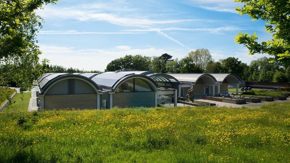 Kew Gardens' Millennium Seed Bank hits major milestone BBC Newsround