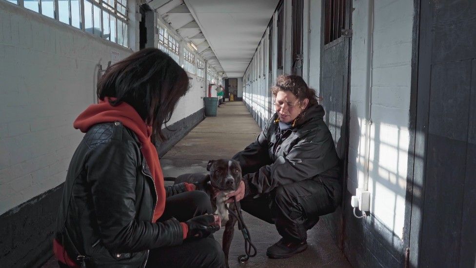 Симона вместе с Роксаной из DOTS с собакой в ​​благотворительном приюте