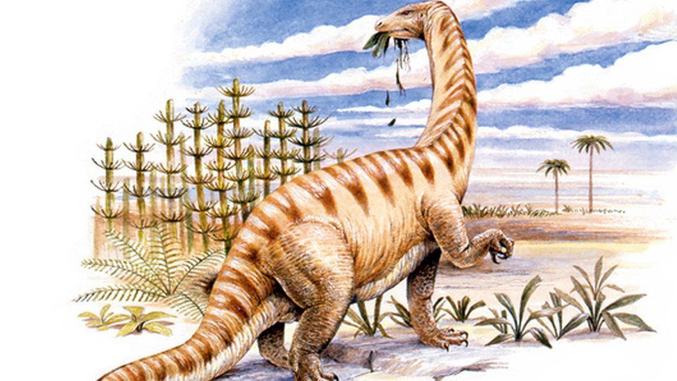 Lufengosaurus dinosaur