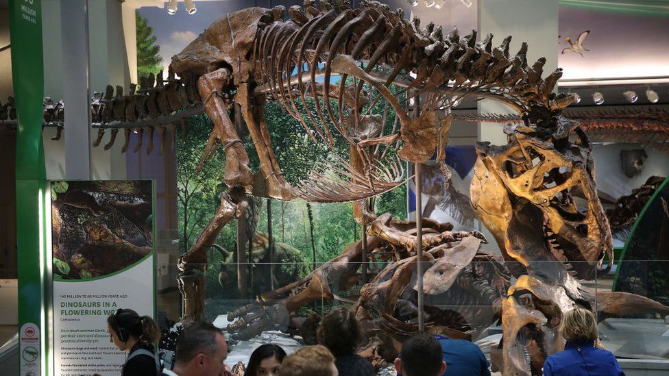 What s Wrong With Buying A Dinosaur BBC News