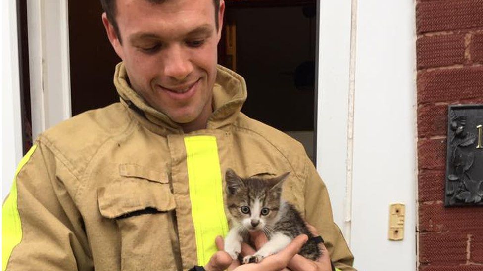 Fire crew rescues kitten trapped for 10 miles in engine - BBC News