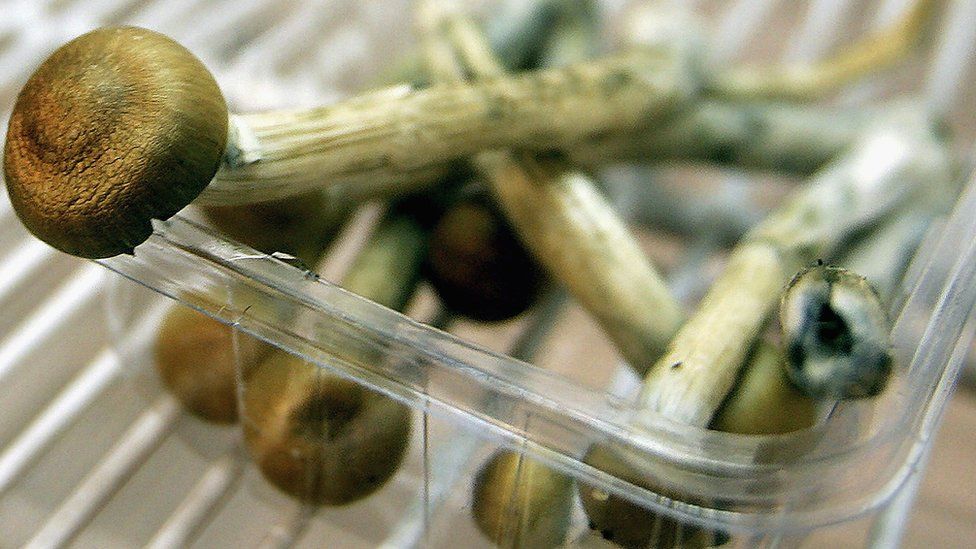 Denver Votes To Decriminalise Magic Mushrooms By Razor Thin Margin Bbc News