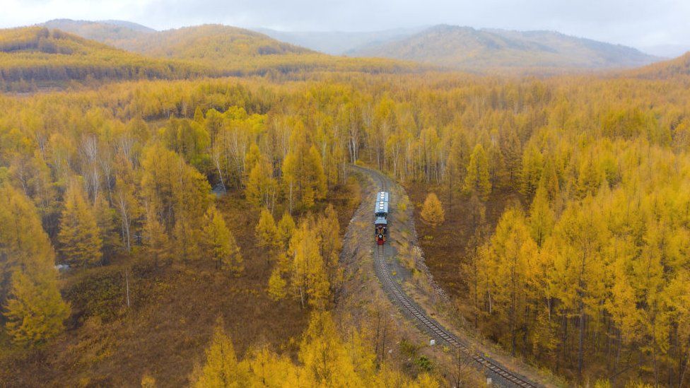 Mongolia's boreal forests