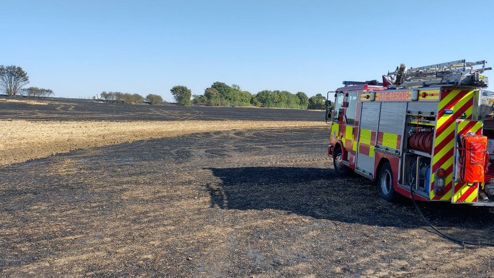 Broomfield field fire in Essex