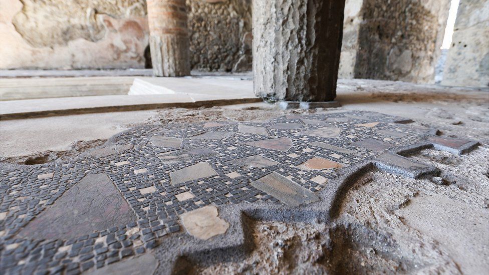 Pompeii floor mosaic