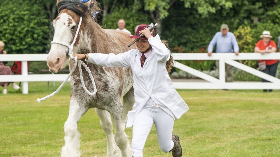 A entrant with a horse during the Great Yorkshire Show