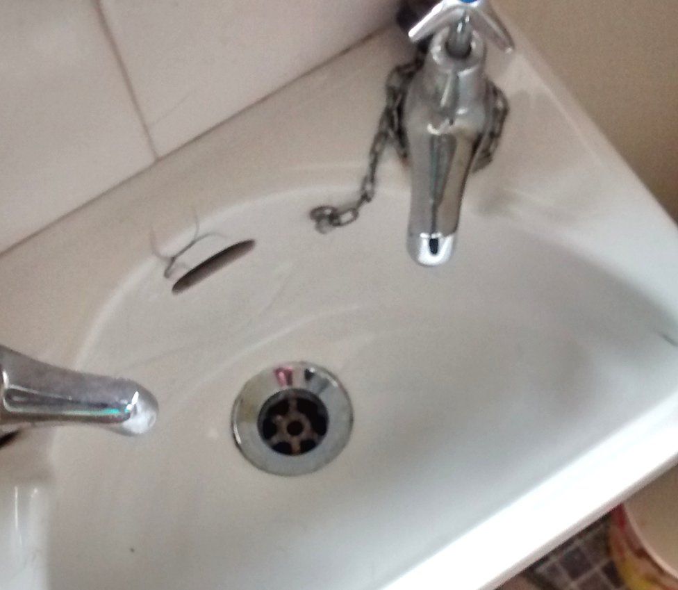 Woman drowned her pet cats in toilet BBC News