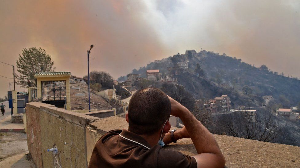 Мужчина смотрит, как дым поднимается от лесного пожара на лесных холмах в районе Кабилие