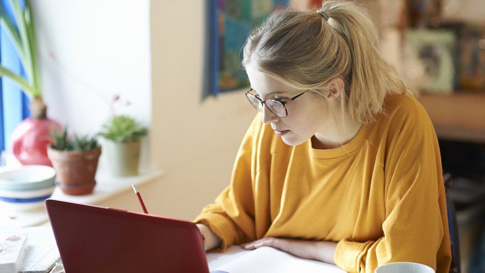 Female student working at home. - stock photo