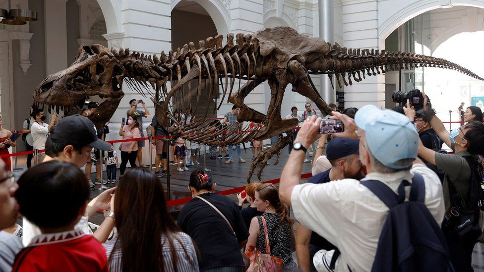 People crowd around the Shen skeleton