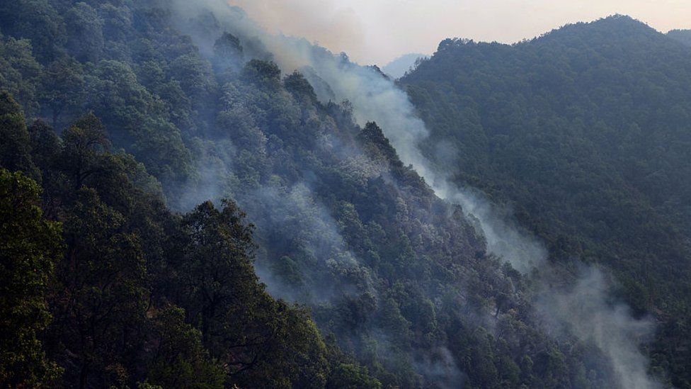 Smoke billows from forest fires after helicopters dump water on them