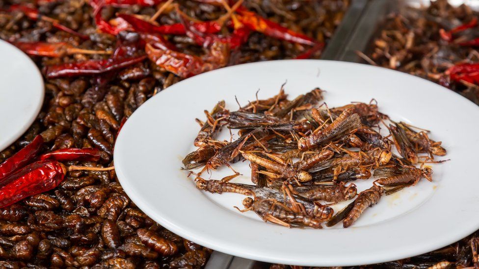 Fried locusts on a plate in China
