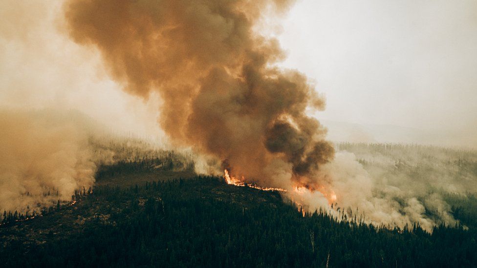 Photo of a forest fire in Quebec burning from above