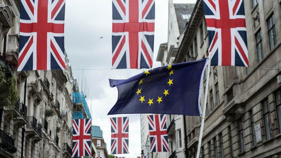 EU flag waved under Union flags in London