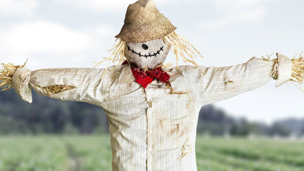A generic photo of a scarecrow