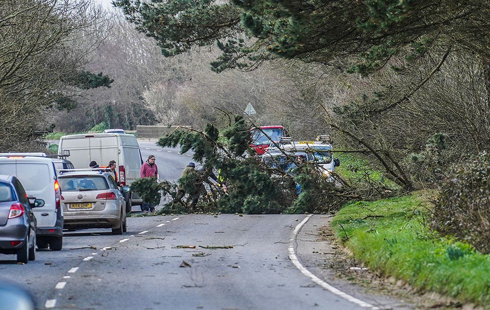 Council workers and members of the public attempt to clear a fallen tree from the A394 road on 18 February 2022 near Penzance, Cornwall