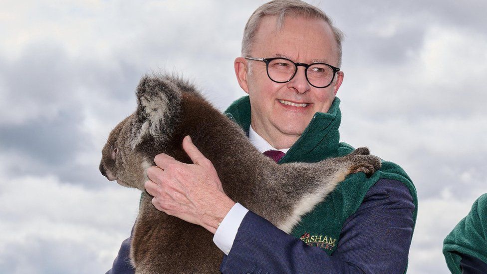New prime minister Anthony Albanese cuddles a panda at a press shoot